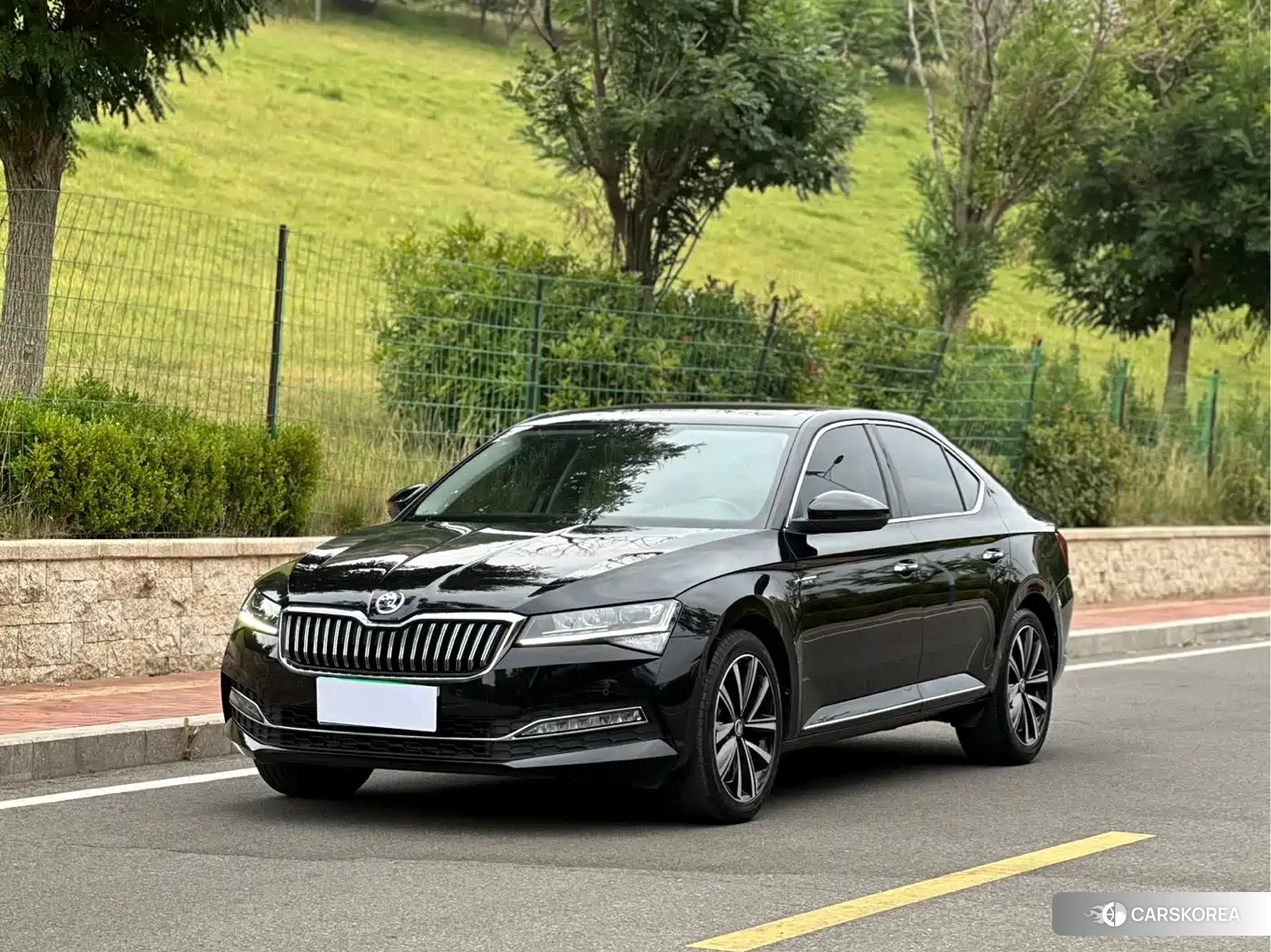 Skoda Speed pie 2023 Черный из Китая, фото 2
