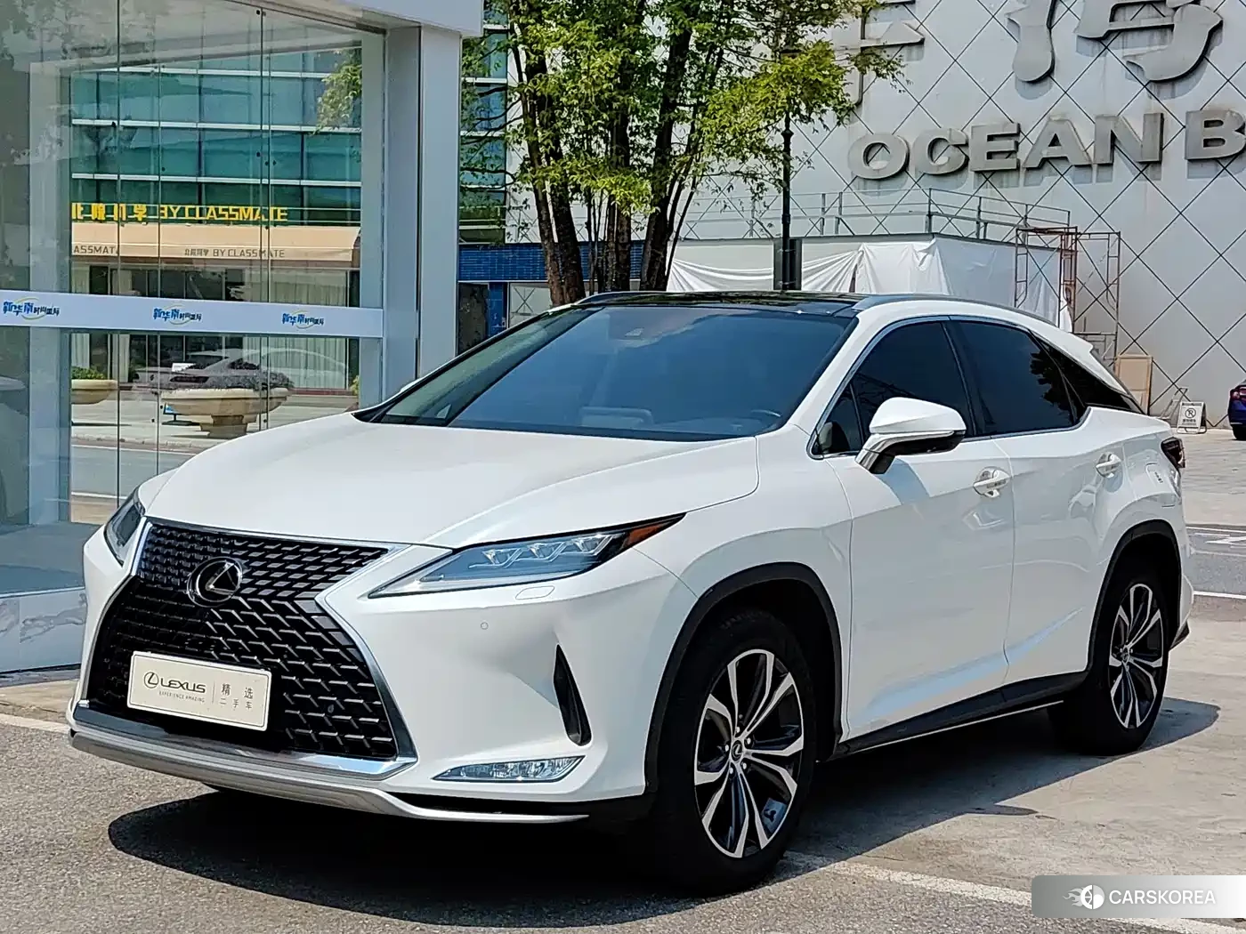 Lexus RX 2021 Белый из Китая, фото 2