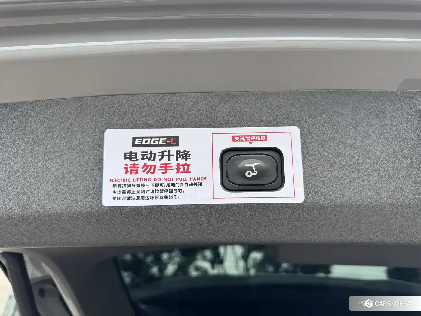 Ford Edge 2023 Silver/gray из Китая, фото 2