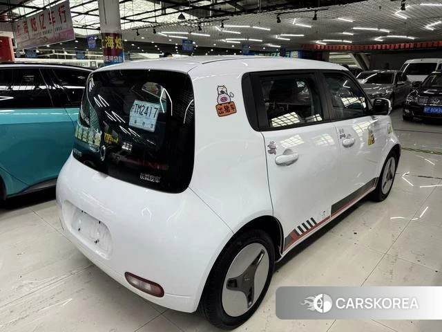 Euler White cat 2021 Белый из Китая, фото 2