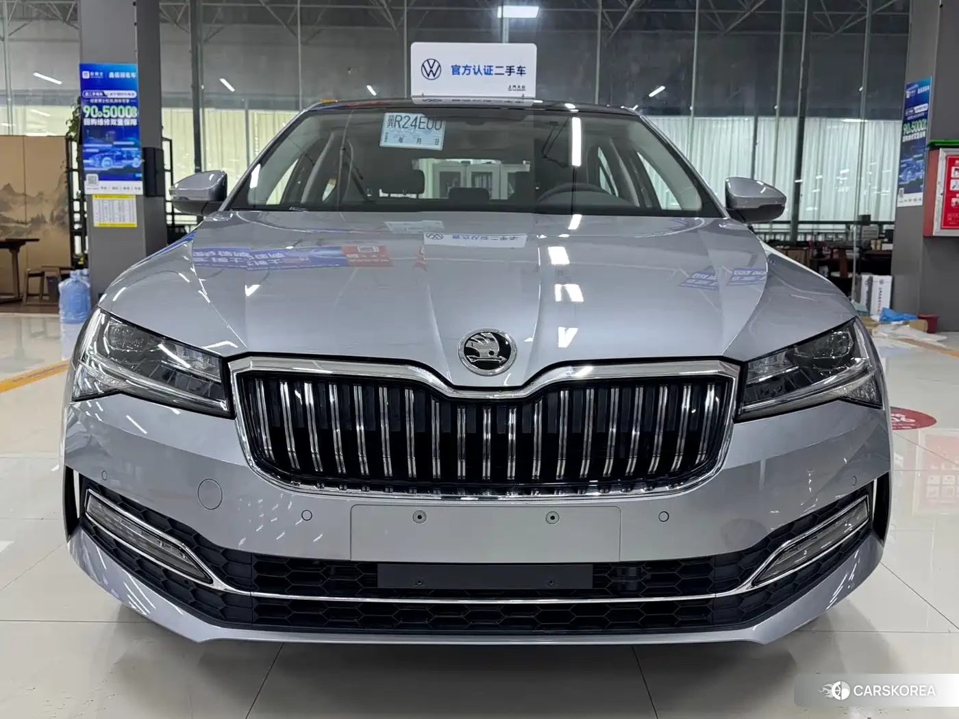 Skoda Speed pie 2025 Silver/gray из Китая, фото 2