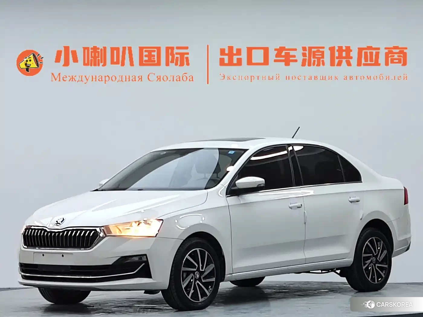 Skoda Xin Rui 2022 Белый из Китая, фото 2