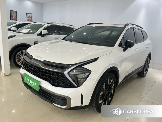 Kia Lion Platinum expands the world 2023 Белый из Китая, фото 2