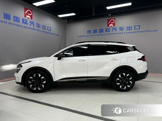 Kia Lion Platinum expands the world 2023 Белый из Китая, фото 2