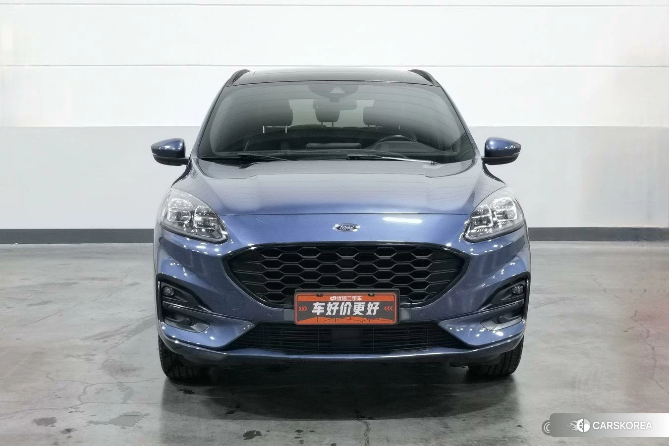 Ford Ruiji 2019 Синий из Китая, фото 2