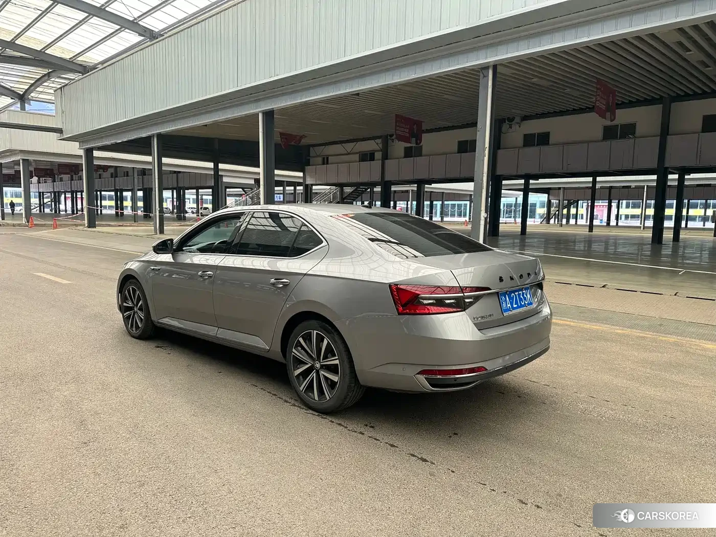 Skoda Speed pie 2022 Silver/gray из Китая, фото 2