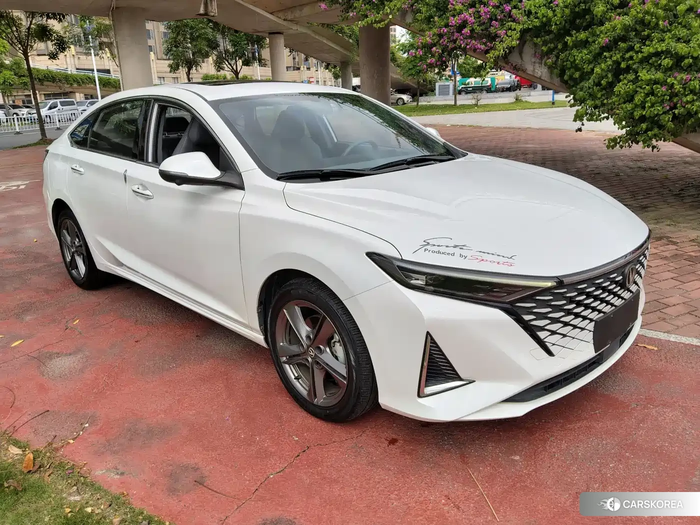 Chang'an Ruicheng PLUS 2023 Белый из Китая, фото 2