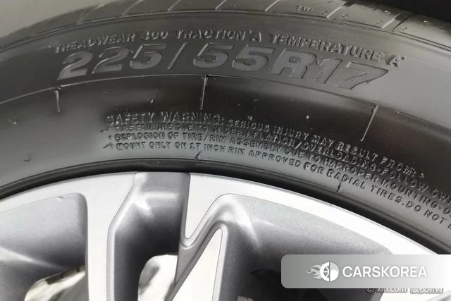 Red flag H5 2023 Темно-серый из Китая, фото 2