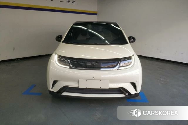 BYD dolphin 2024 Желтый из Китая, фото 2