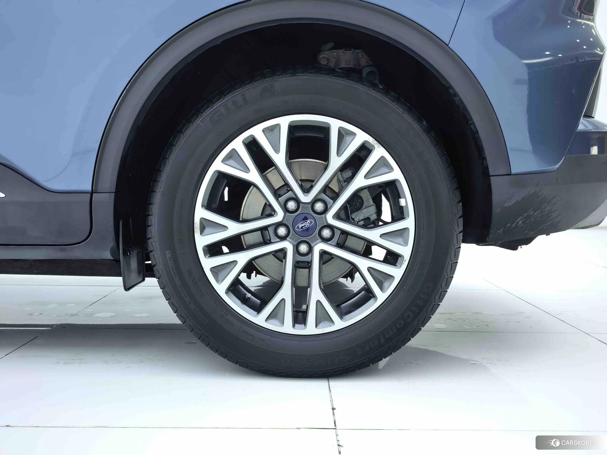 Ford Ruiji 2020 Синий из Китая, фото 2