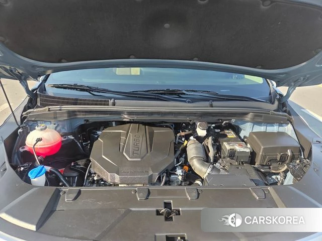 Kia Carnival 4th generation 2021 Цвет тростника из Кореи, фото 2