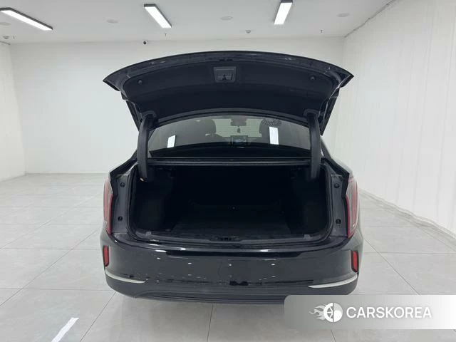 Red flag E-QM5 2023 Черный из Китая, фото 2