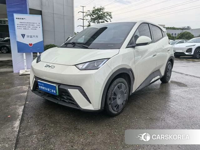 BYD Seagull 2025 Другой из Китая, фото 2
