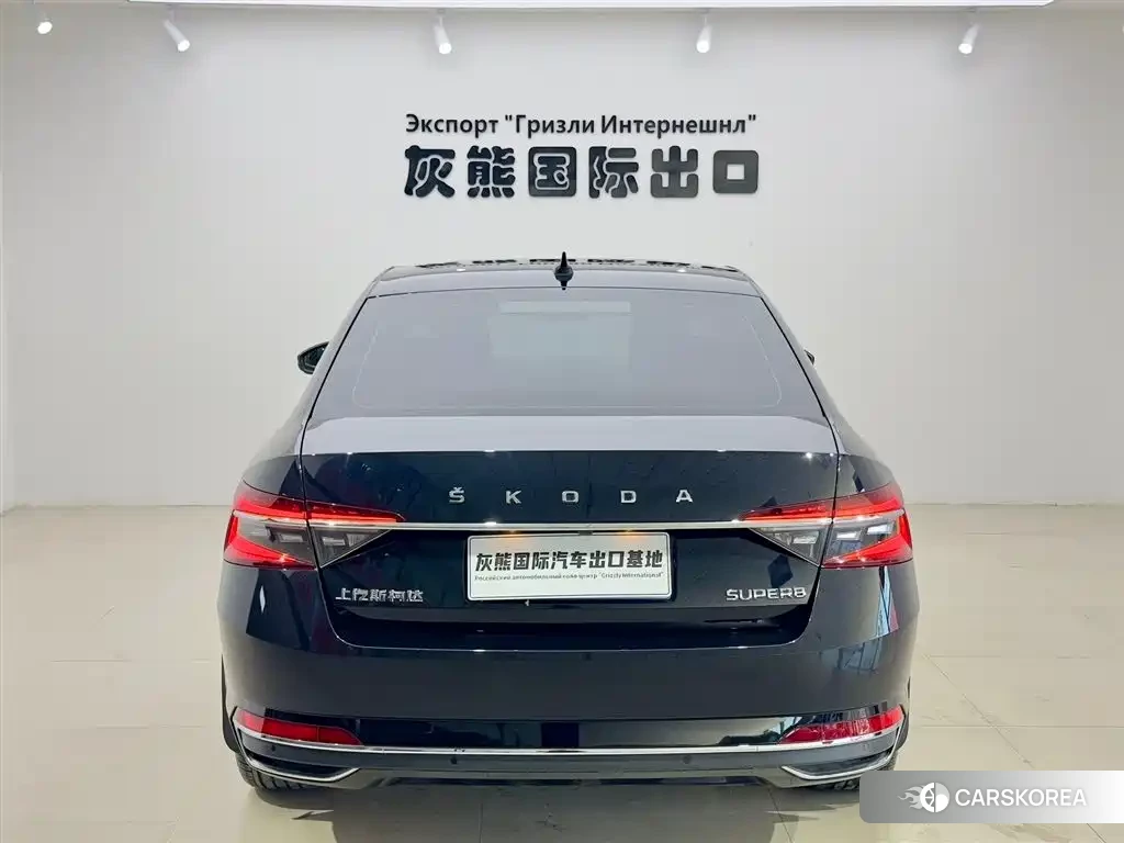 Skoda Speed pie 2024 Черный из Китая, фото 2