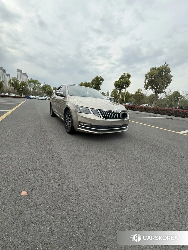 Skoda Octavia 2020 Шампань из Китая, фото 2