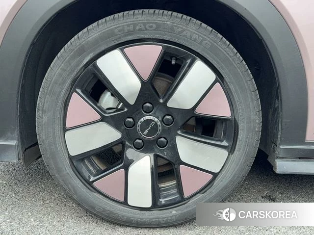 BYD dolphin 2024 Другой из Китая, фото 2