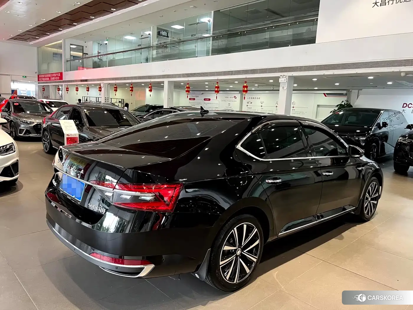 Skoda Speed pie 2023 Черный из Китая, фото 2