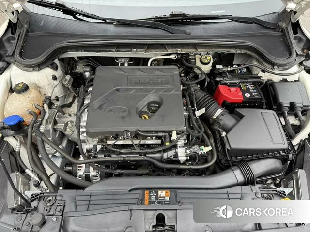 Ford Fox 2022 Белый из Китая, фото 2