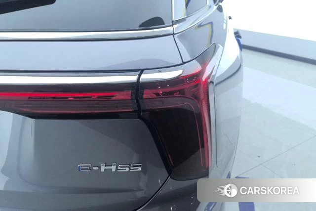 Red flag E-HS9 2023 Темно-серый из Китая, фото 2