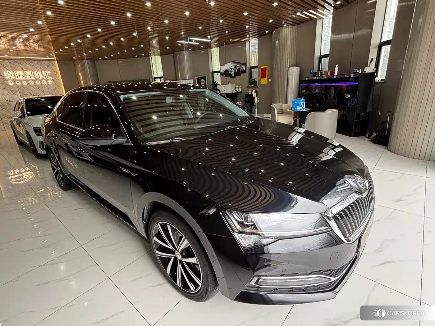 Skoda Speed pie 2025 Черный из Китая, фото 2