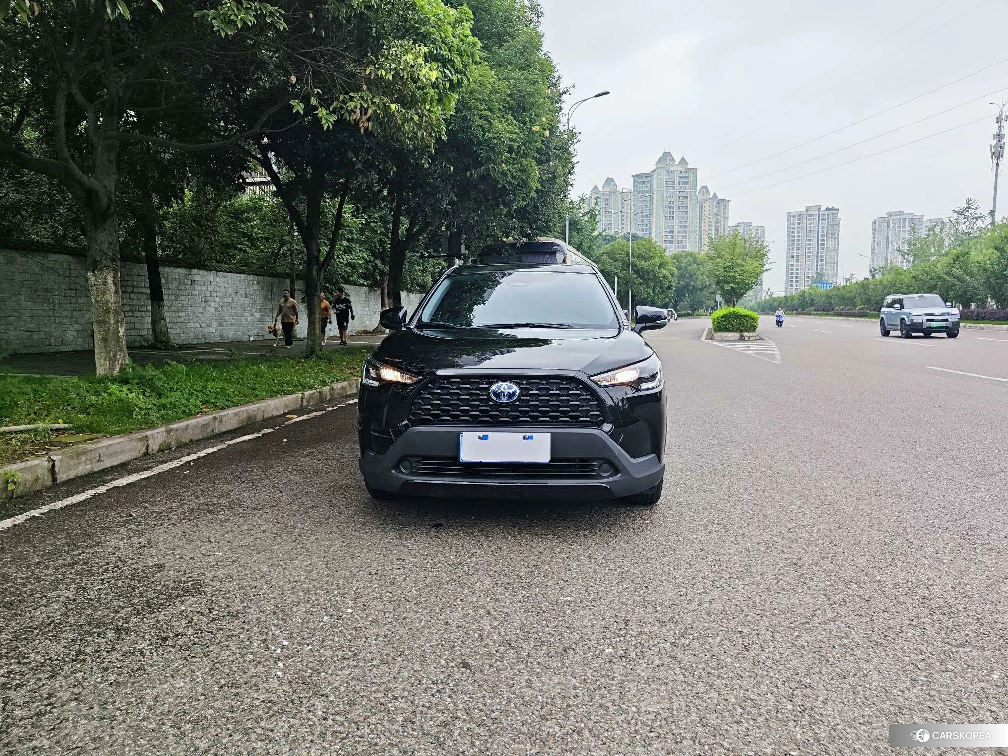 Toyota Corolla Sharp amplifier 2023 Черный из Китая, фото 2