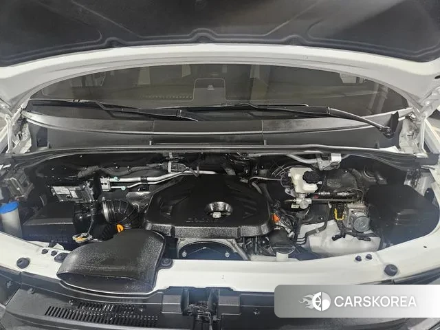 Hyundai Solati 2023 Белый из Кореи, фото 2