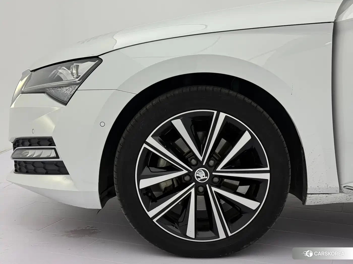 Skoda Speed pie 2023 Белый из Китая, фото 2