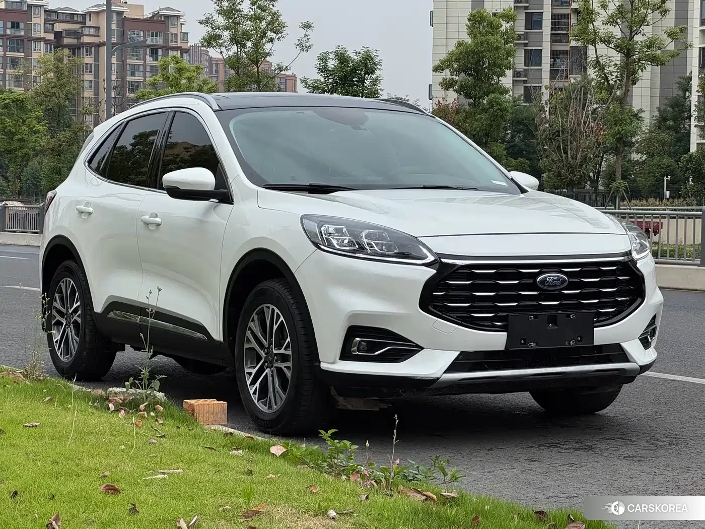Ford Ruiji 2022 Белый из Китая, фото 2