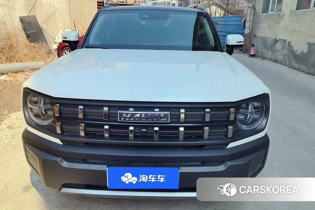 Haval Cool dog 2023 Белый из Китая, фото 2