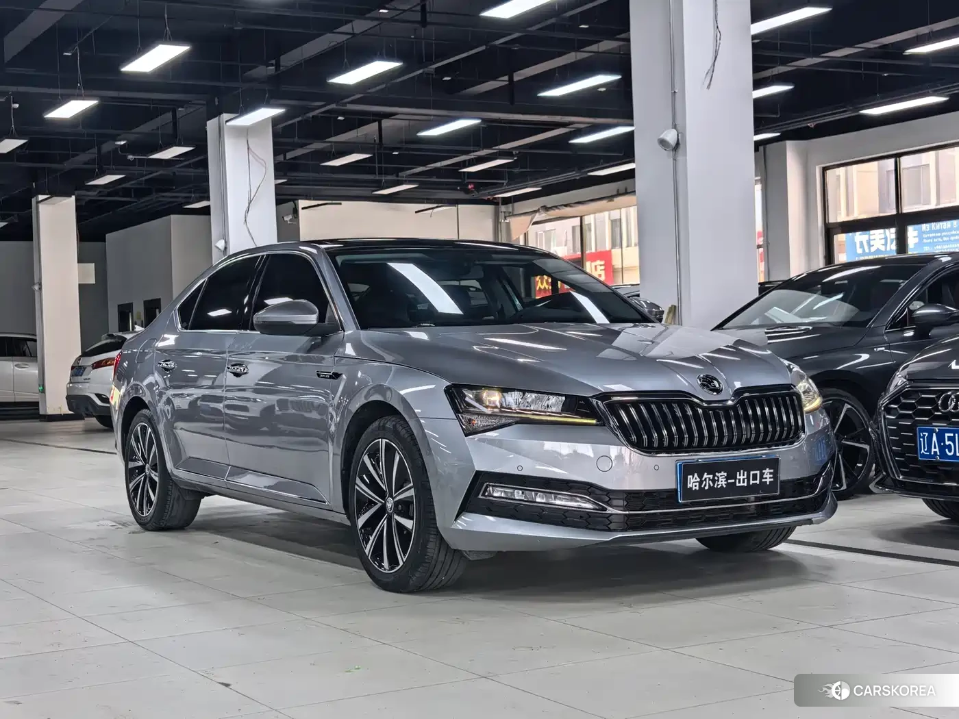 Skoda Speed pie 2023 Silver/gray из Китая, фото 2