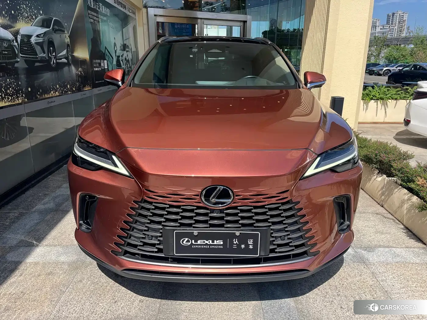 Lexus RX New Energy 2023 Champagne/brown из Китая, фото 2