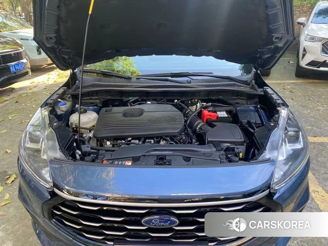 Ford Ruiji 2023 Синий из Китая, фото 2