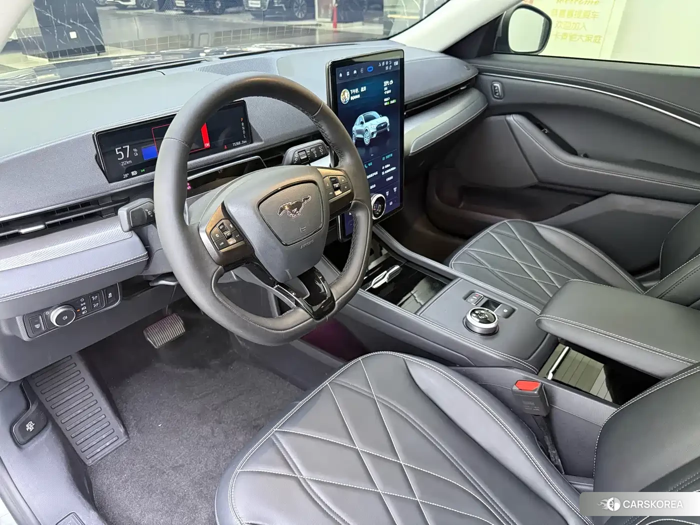 Ford Electric horse 2023 Silver/gray из Китая, фото 2