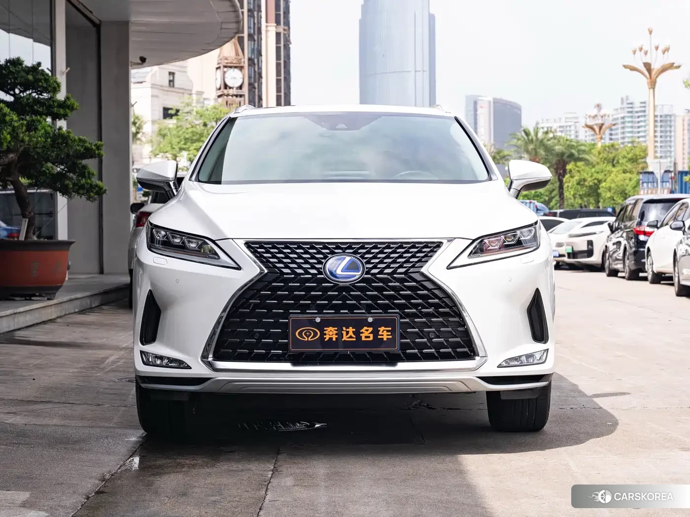Lexus RX 2019 Белый из Китая, фото 2