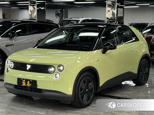 firefly firefly Unknown 2025 Зеленый из Китая, фото 2