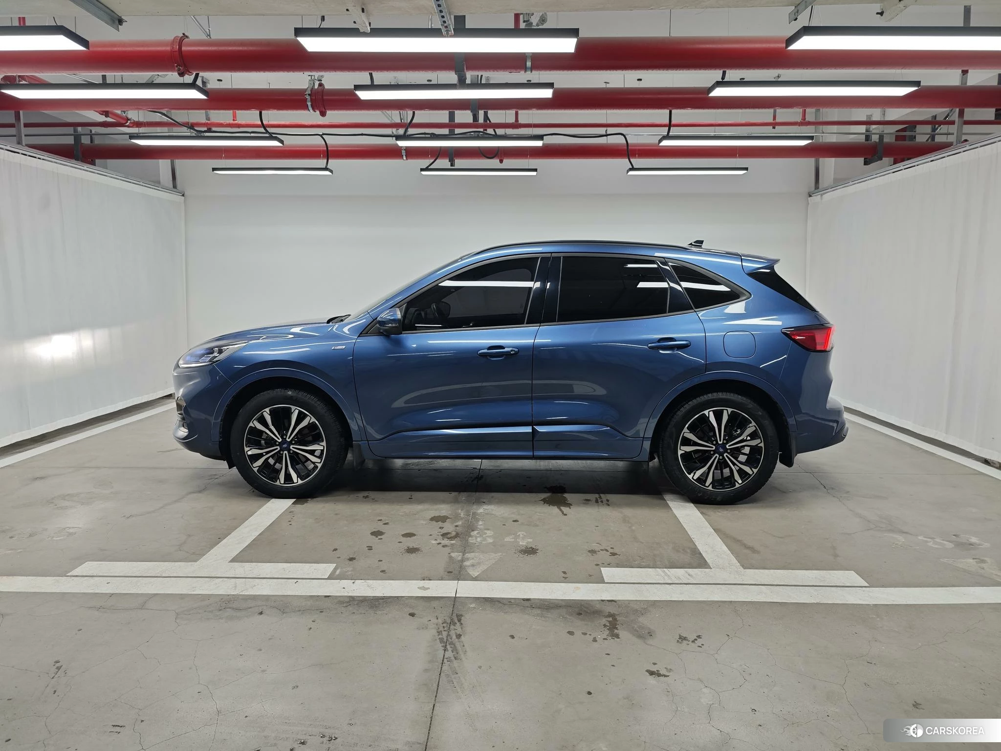 Ford Ruiji 2019 Синий из Китая, фото 2