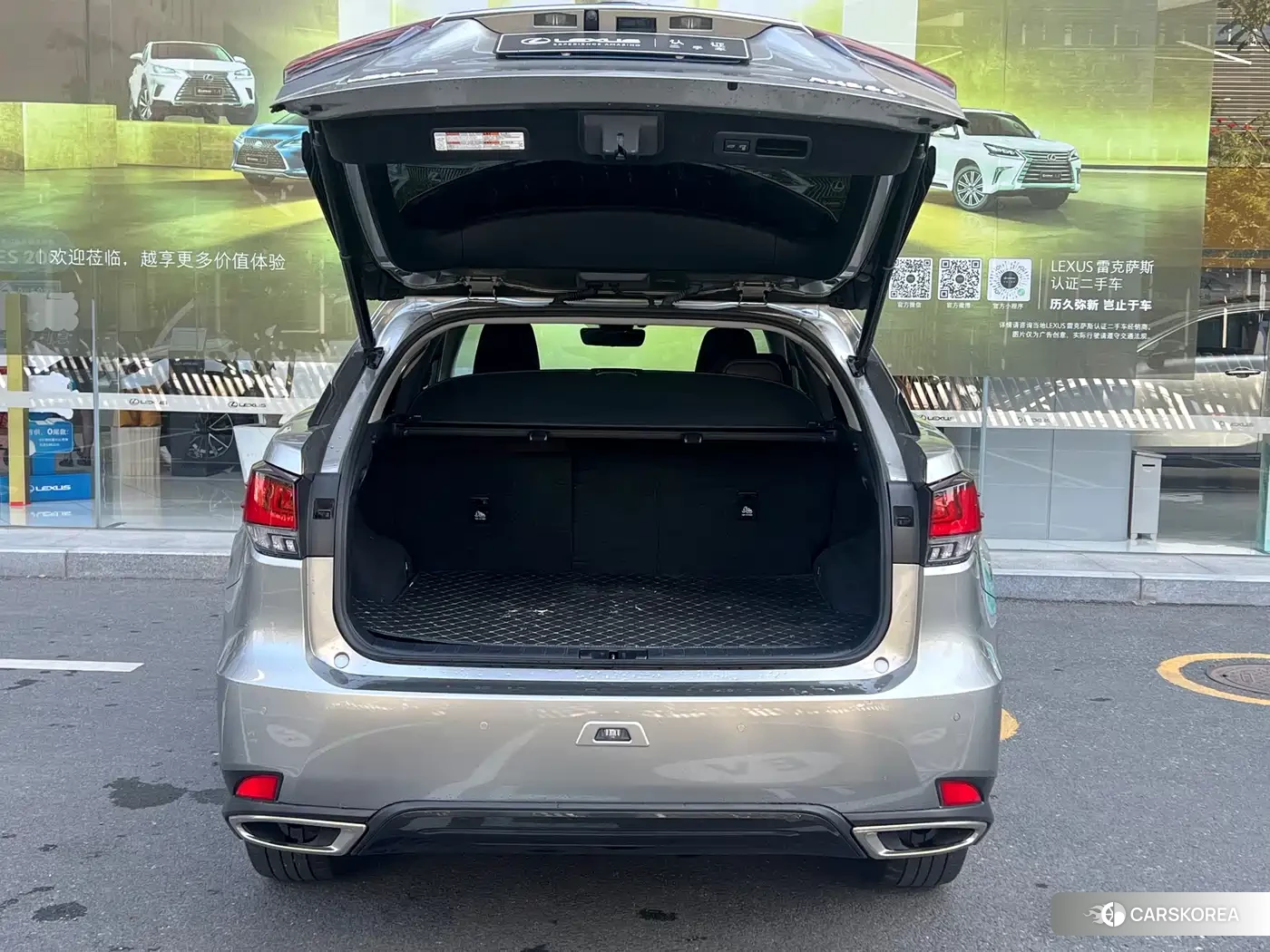 Lexus RX 2022 Champagne/brown из Китая, фото 2