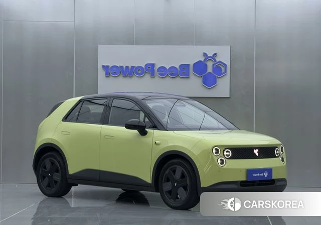 firefly firefly Unknown 2025 Зеленый из Китая, фото 2