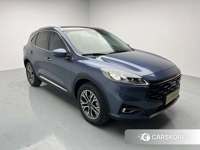Ford Ruiji 2021 Синий из Китая, фото 2