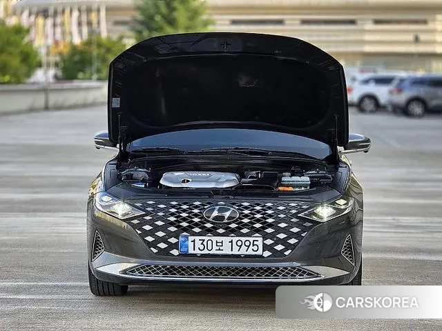Hyundai The New Grandeur IG Hybrid 2020 Цвет тростника из Кореи, фото 2