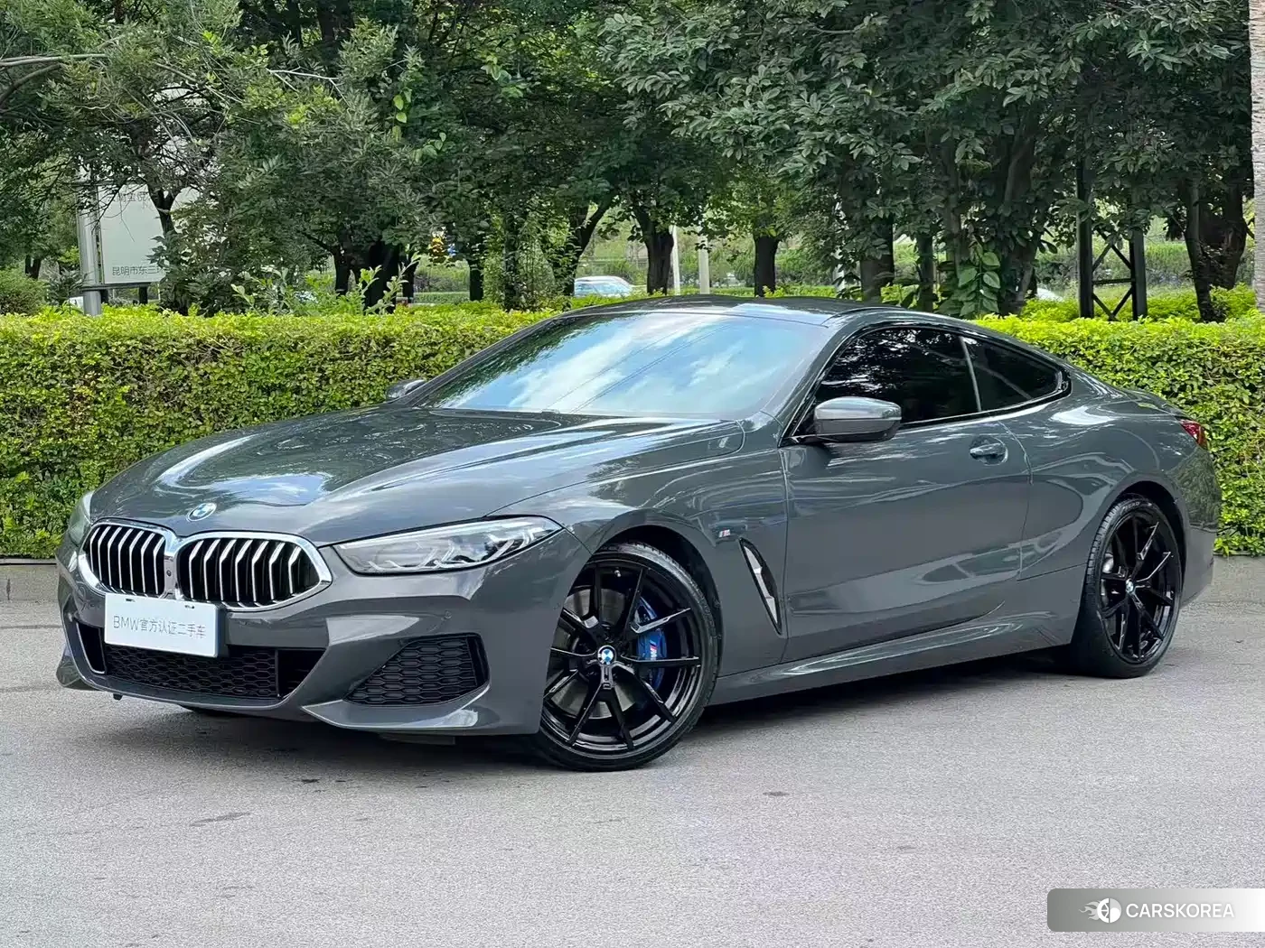 BMW 8 series 2021 Silver/gray из Китая, фото 2