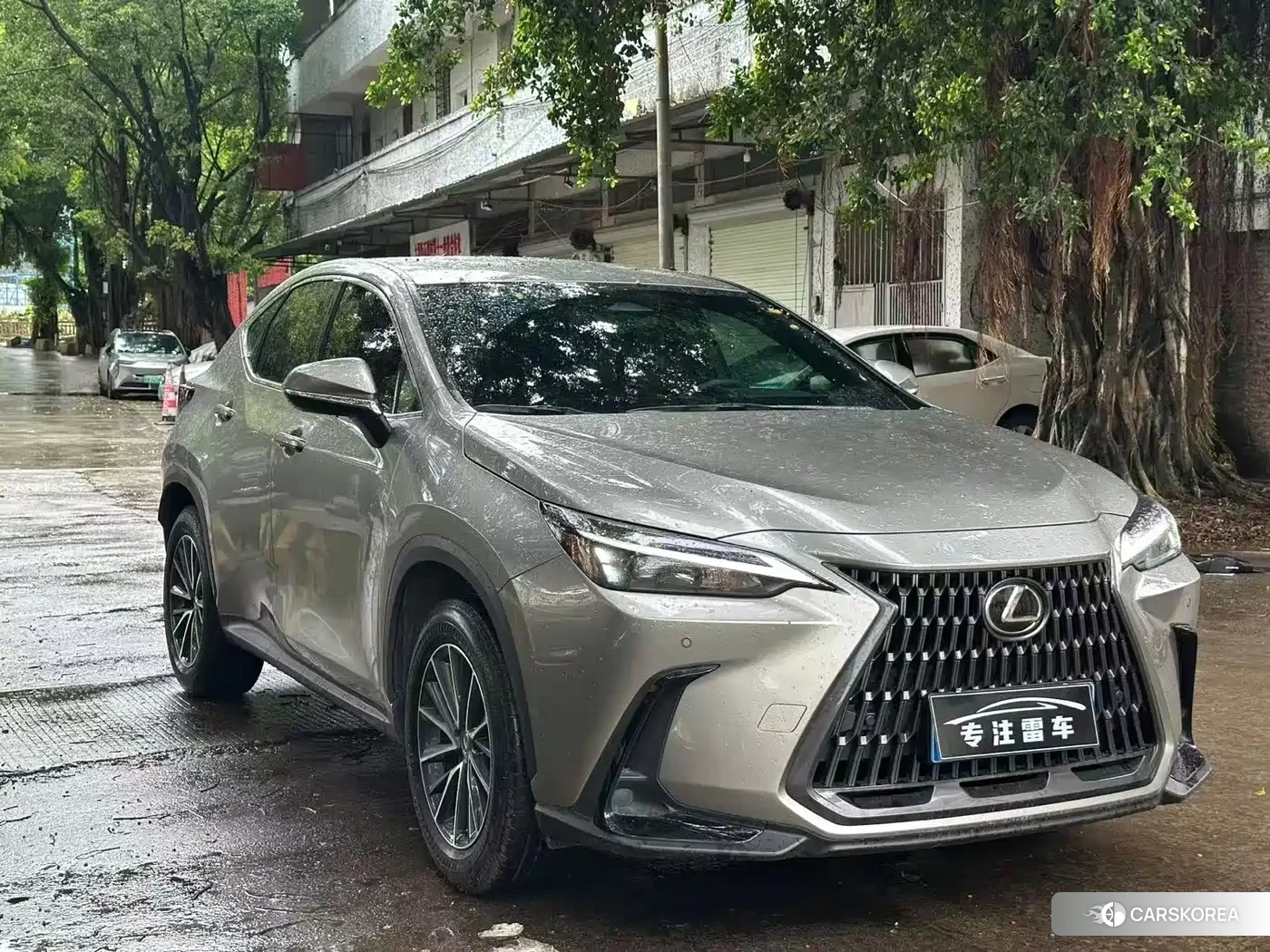 Lexus NX 2025 Silver/gray из Китая, фото 2