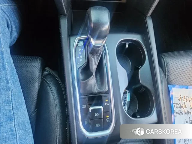 Hyundai Santa Fe TM 2019 Цвет тростника из Кореи, фото 2