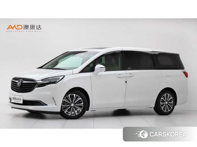 Buick GL8 2020 Зеленый из Китая, фото 2