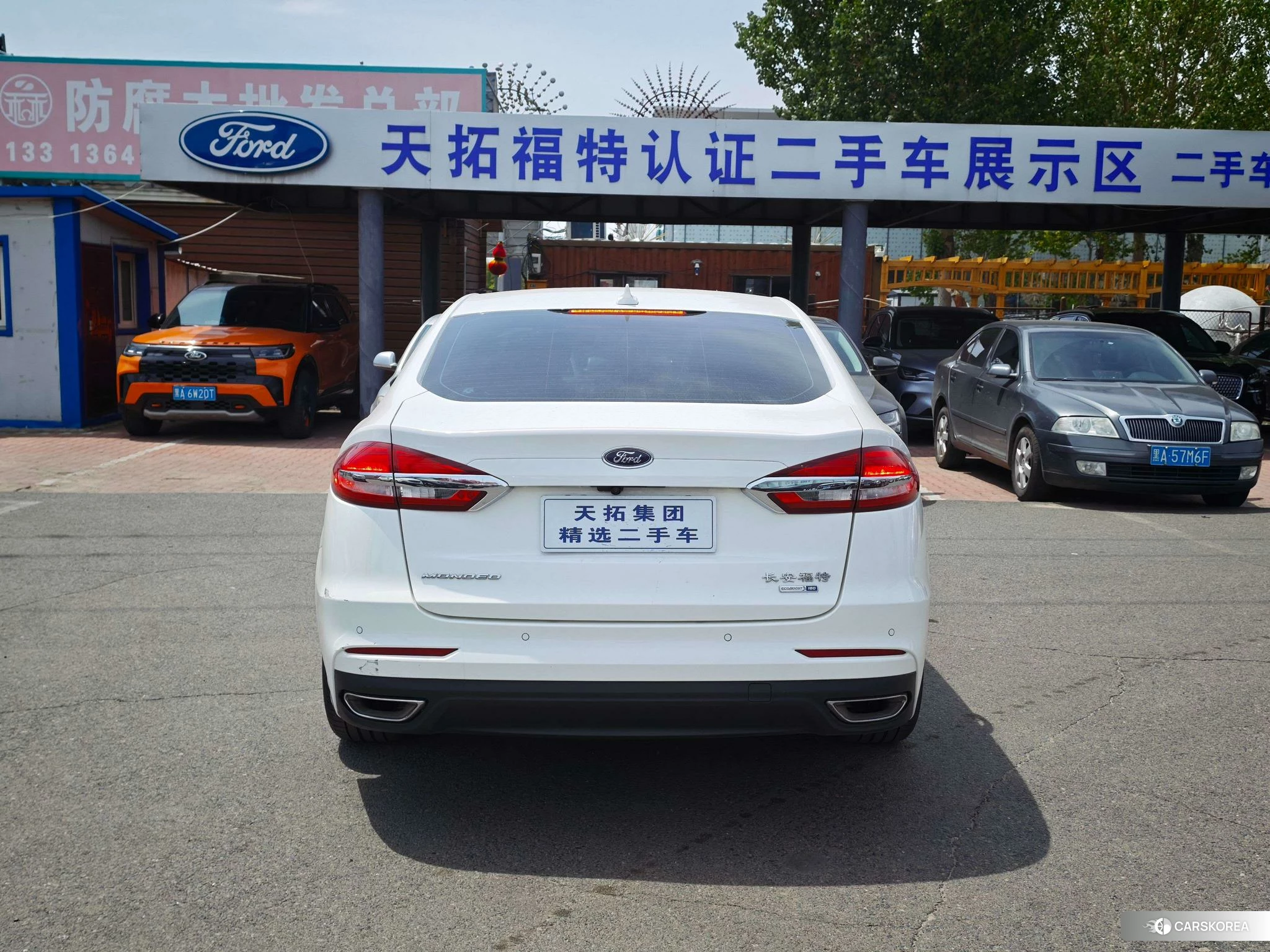 Ford Mondeo 2020 Белый из Китая, фото 2