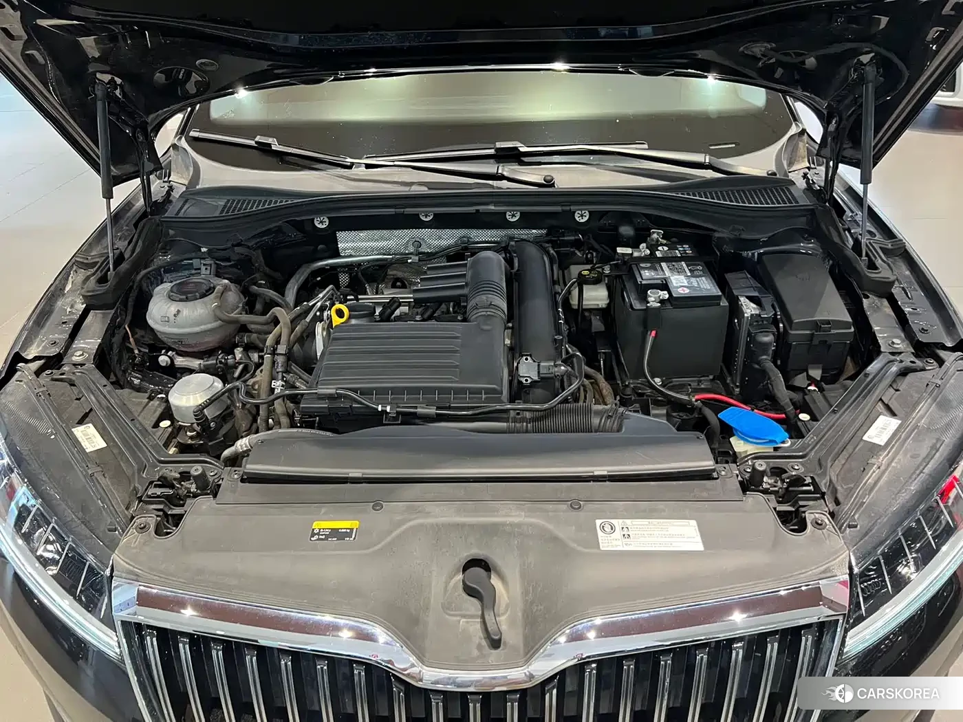 Skoda Speed pie 2023 Черный из Китая, фото 2