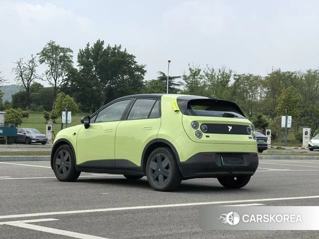 firefly firefly Unknown 2025 Зеленый из Китая, фото 2