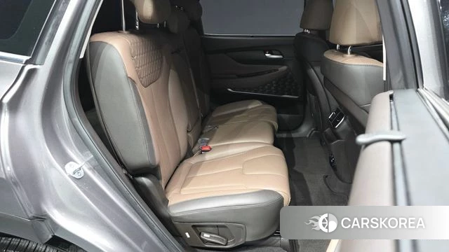 Hyundai Santa Fe TM 2019 Цвет тростника из Кореи, фото 2