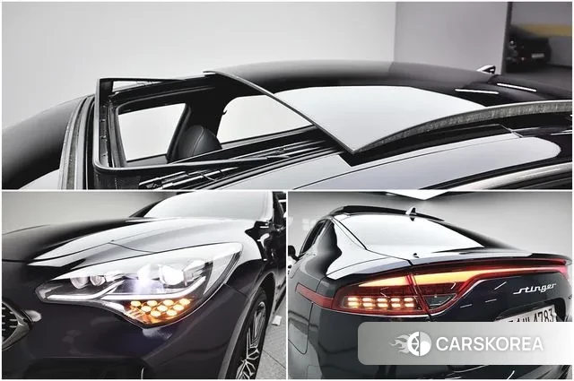 Kia Stinger Meister id 3645927 из Кореи 2