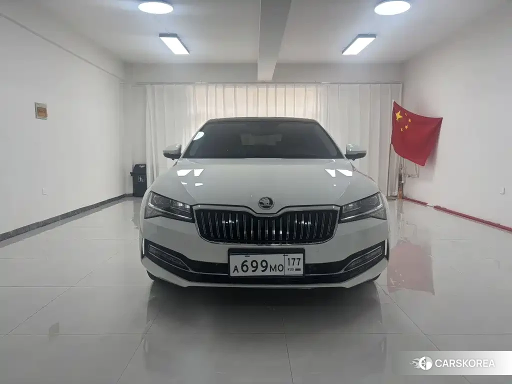 Skoda Speed pie 2023 Белый из Китая, фото 2